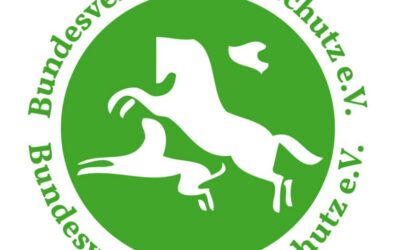 🐶 Mein Engagement für den Bundesverband Tierschutz e.V.