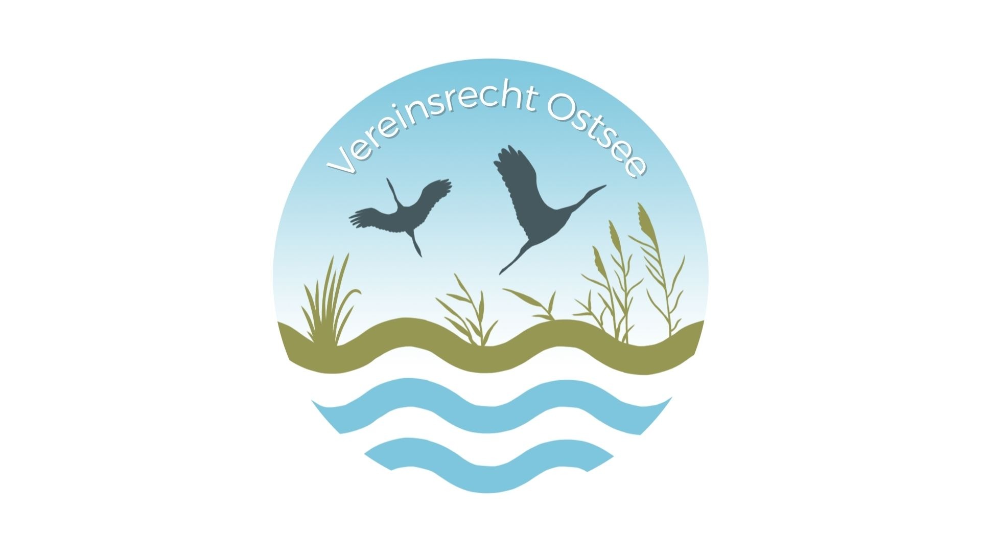 Vorstandsberatung Sozialwirtschaft Mecklenburg-Vorpommern