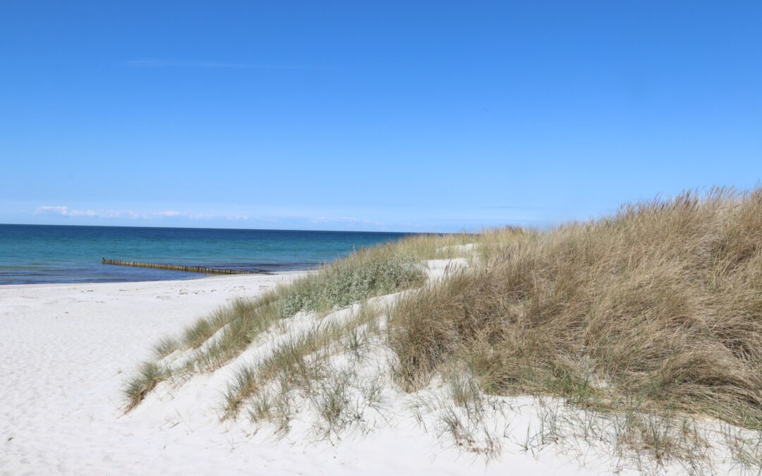Hans Fallada Hiddensee