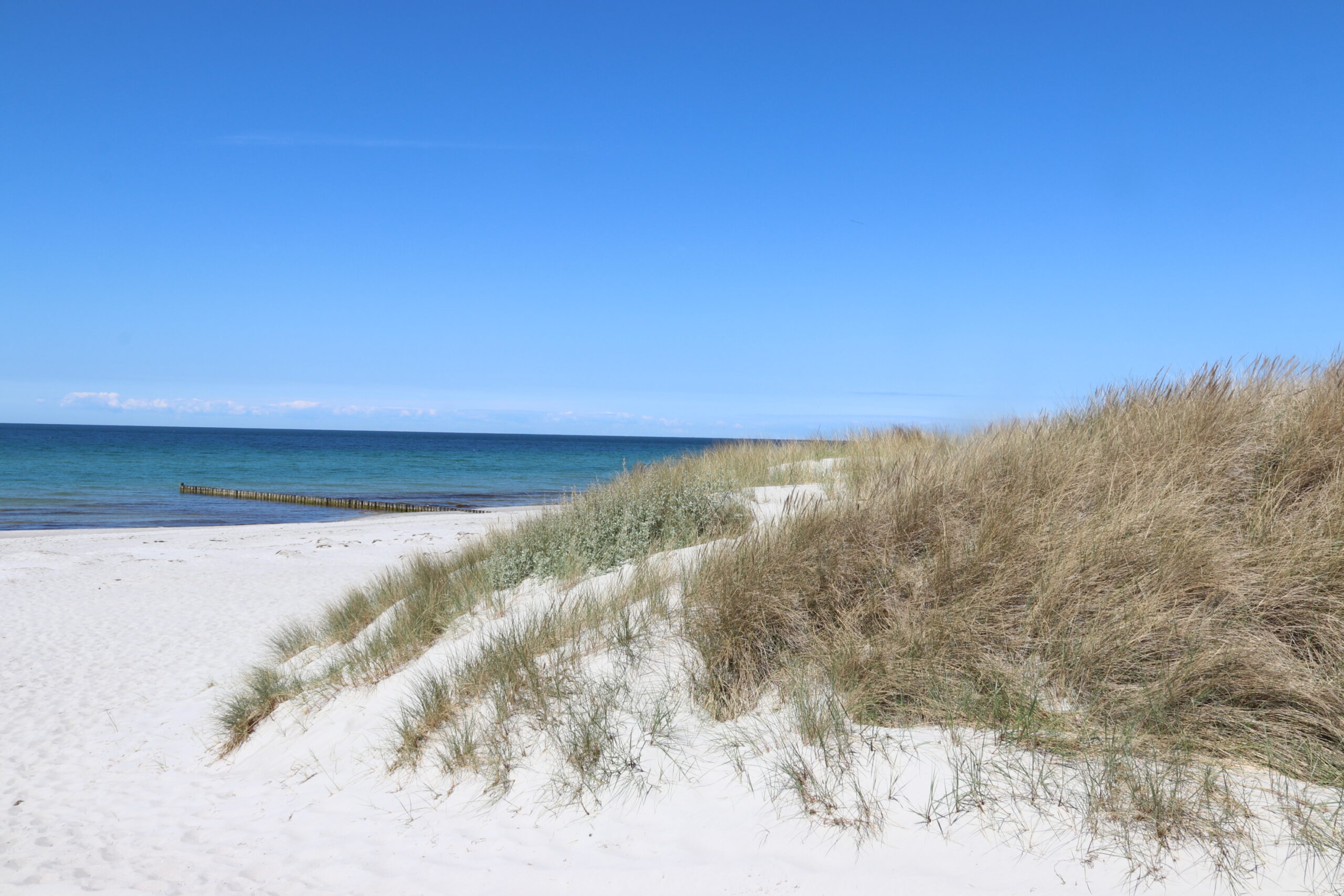 Hans Fallada Hiddensee